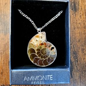 Genuine Ammonite Fossil Pendant Necklace